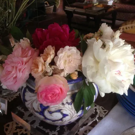 Ruggeri Отель типа 